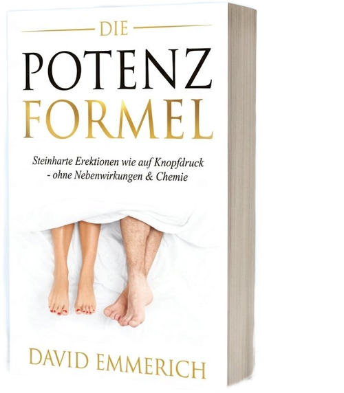 DIE POTENZFORMEL